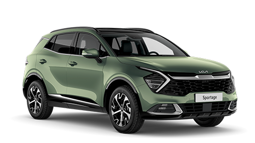 100 sportage