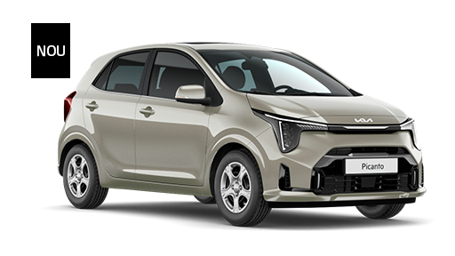 135 Picanto